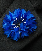 bleuet de France